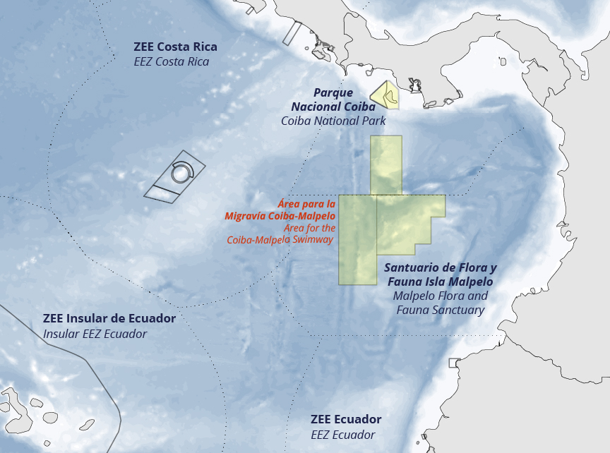 Coiba Malpelo
